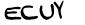 security_code